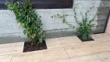 creation de bacs enterrer amenagement exterieur img