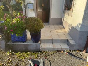 avant moquette de marbre photo d apres a joindre avec sure le site img avant moquette de marbre photo d apres a joindre avec sure le site img